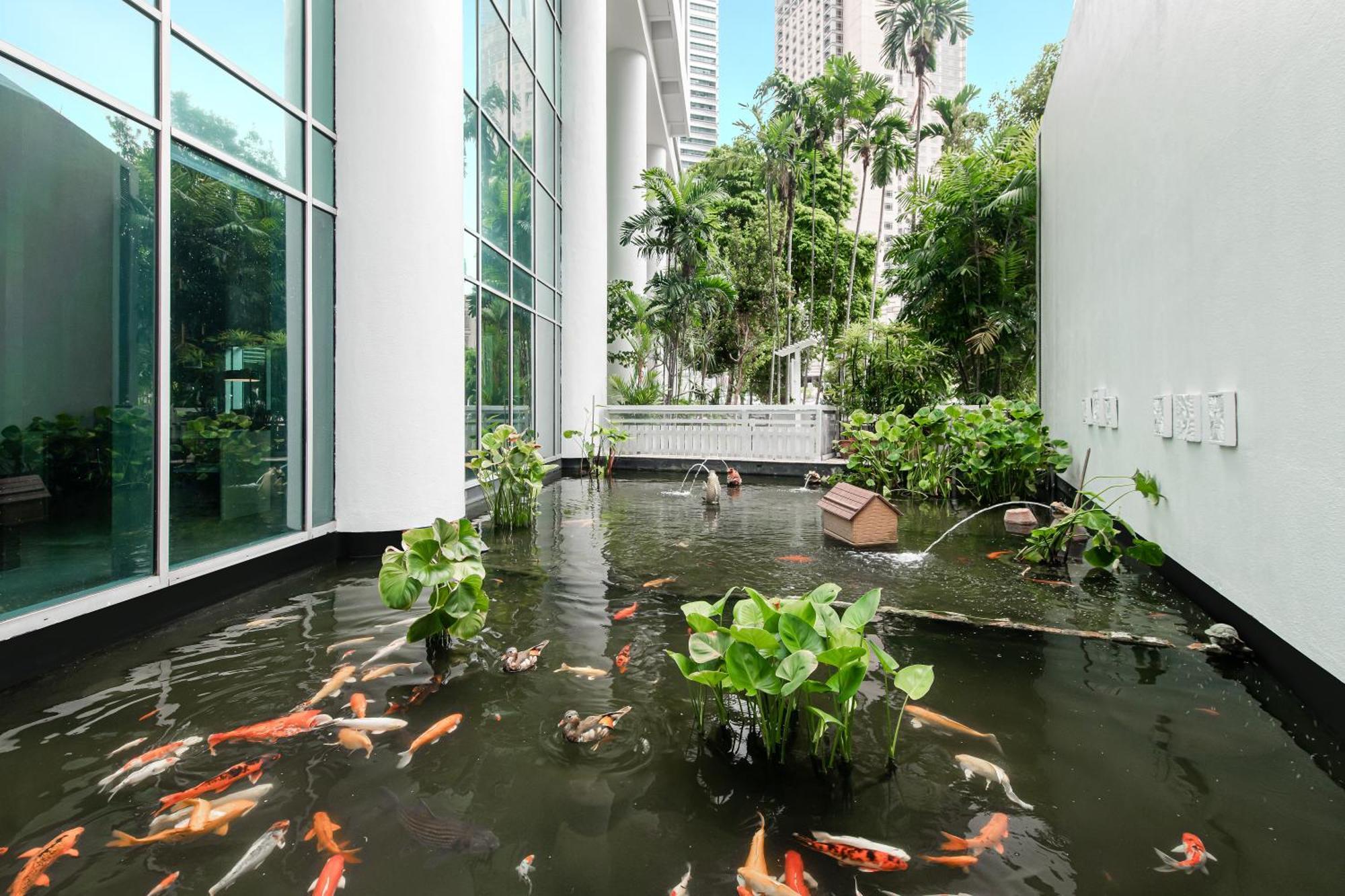 Hotel Ascott Kuala Lumpur Zewnętrze zdjęcie The Koi Pond